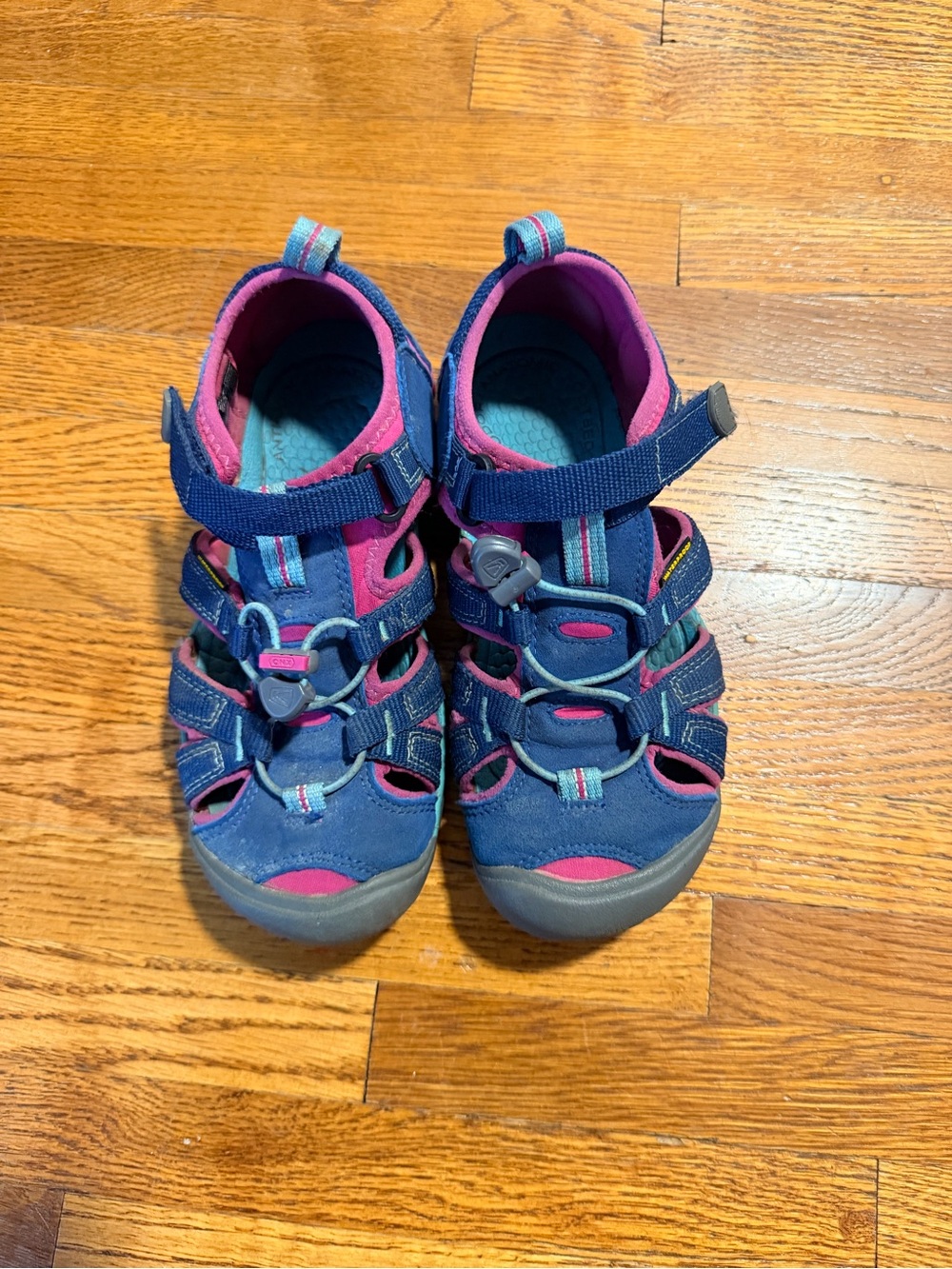 Keen Kids Blue and Pink Closed-Toe Sport Sandals